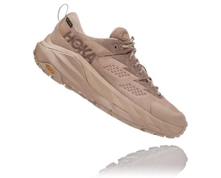 Hoka One One Kaha Low Gore-tex Moški Pohodniški Čevlji Rjava SI-578293P